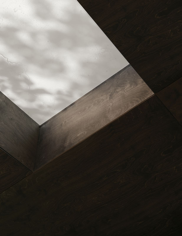 Wu Bin's Wukang Retreat 图16