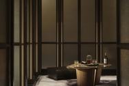 ONE CENTRAL PARK 项目图16